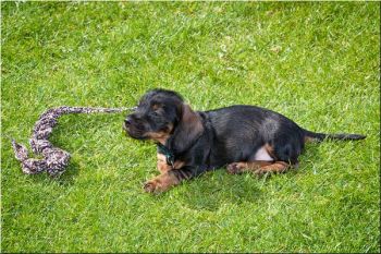 170505 06 0057