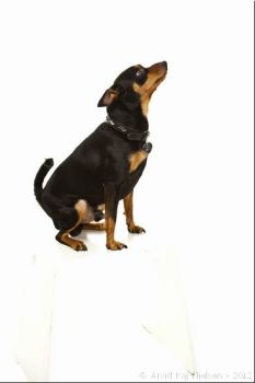 120322 0010