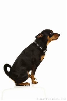 120322 0023
