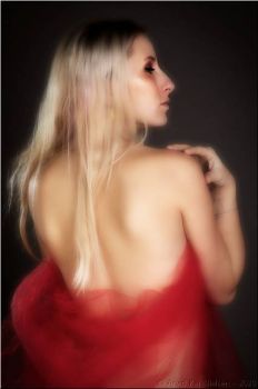 201205 0254ssoftpdesat