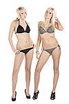 100313-051elegant.jpg