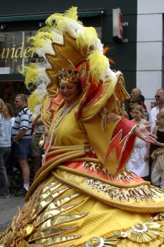 Img 5155x